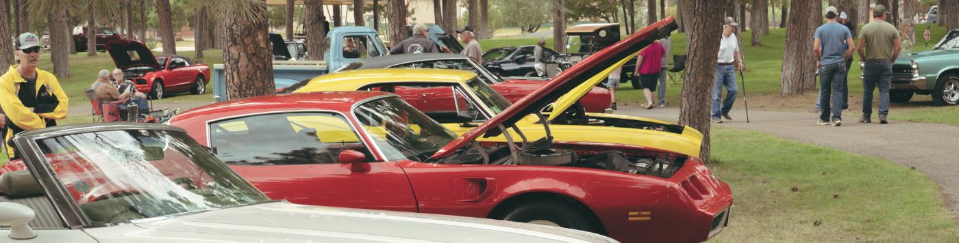 Banner for Fall Festival