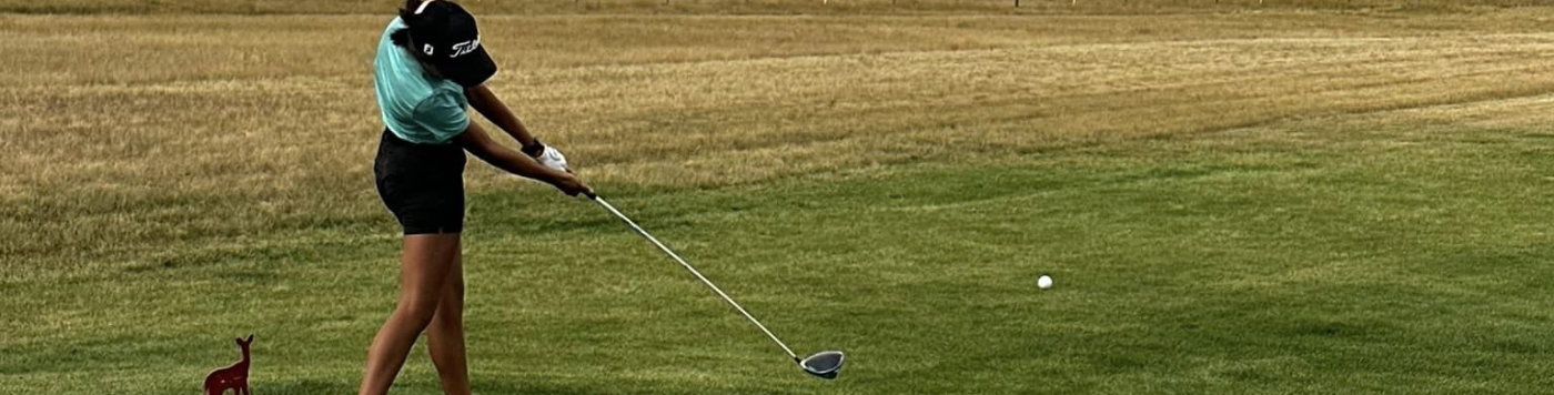 Banner for Upton Organizations