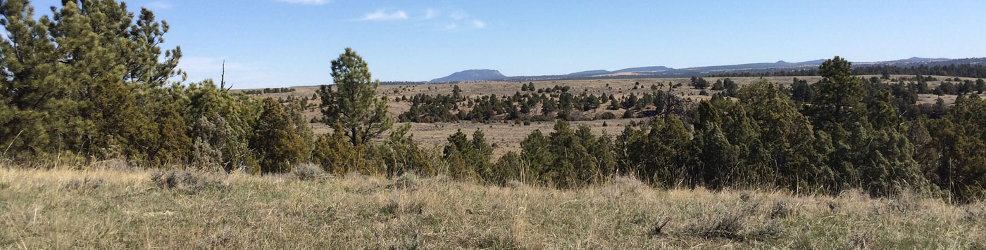 Banner for Chamber Board