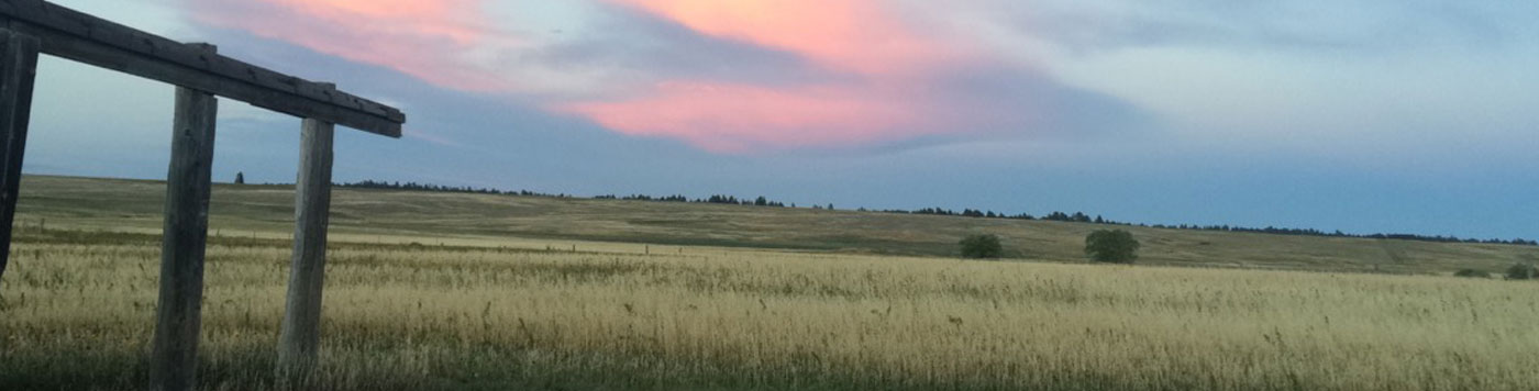 Banner for Submit a Job